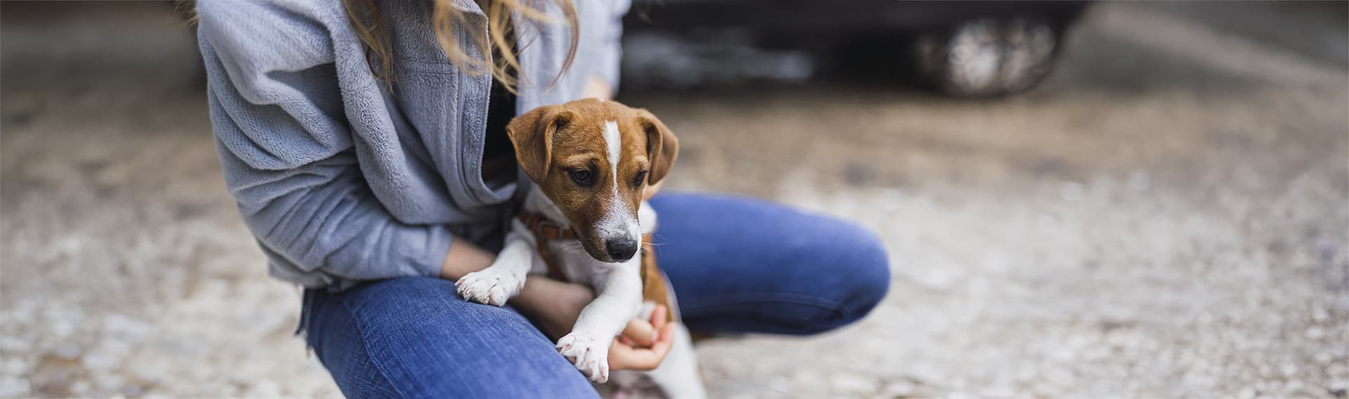 Persona abrazando a su perro